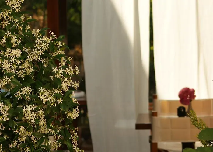 Guest house Cunda Lena