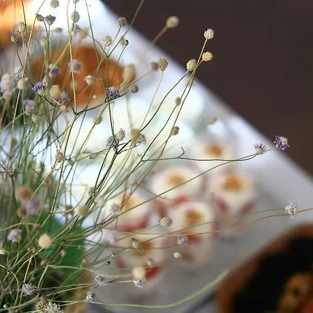 Cunda Lena Vendégház