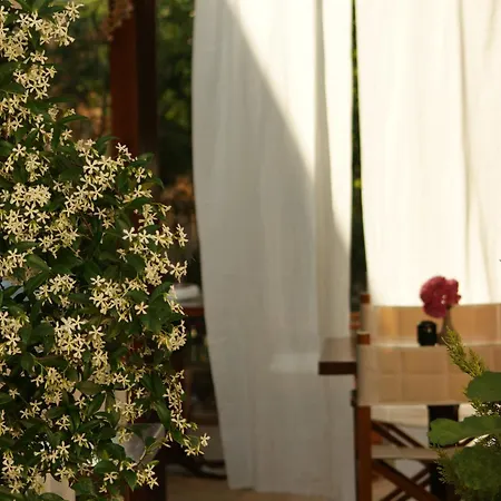 Vendégház Cunda Lena