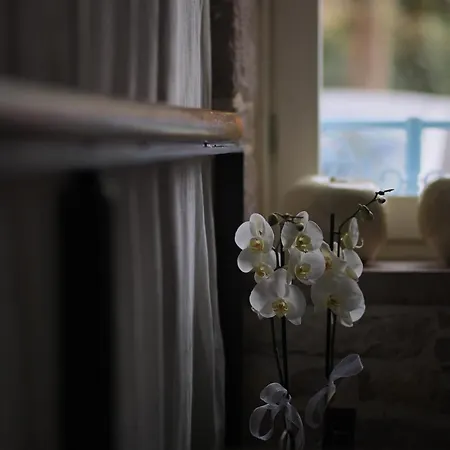 Cunda Lena Vendégház